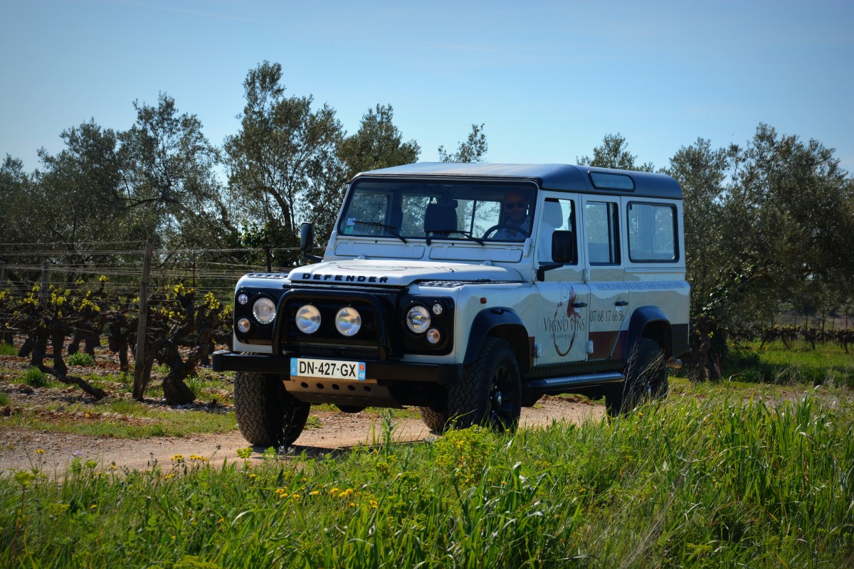 Véhicule Vignovins tourisme - Balades vigneronnes