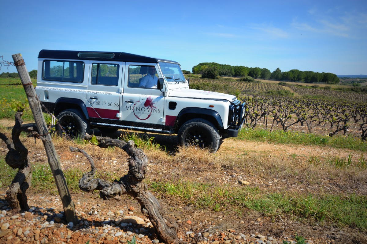 Véhicule Vignovins tourisme