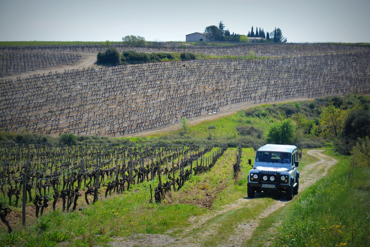 Découverte en 4x4 9 places au coeur des vignes