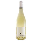 Vins Blanc Haut Courchamp